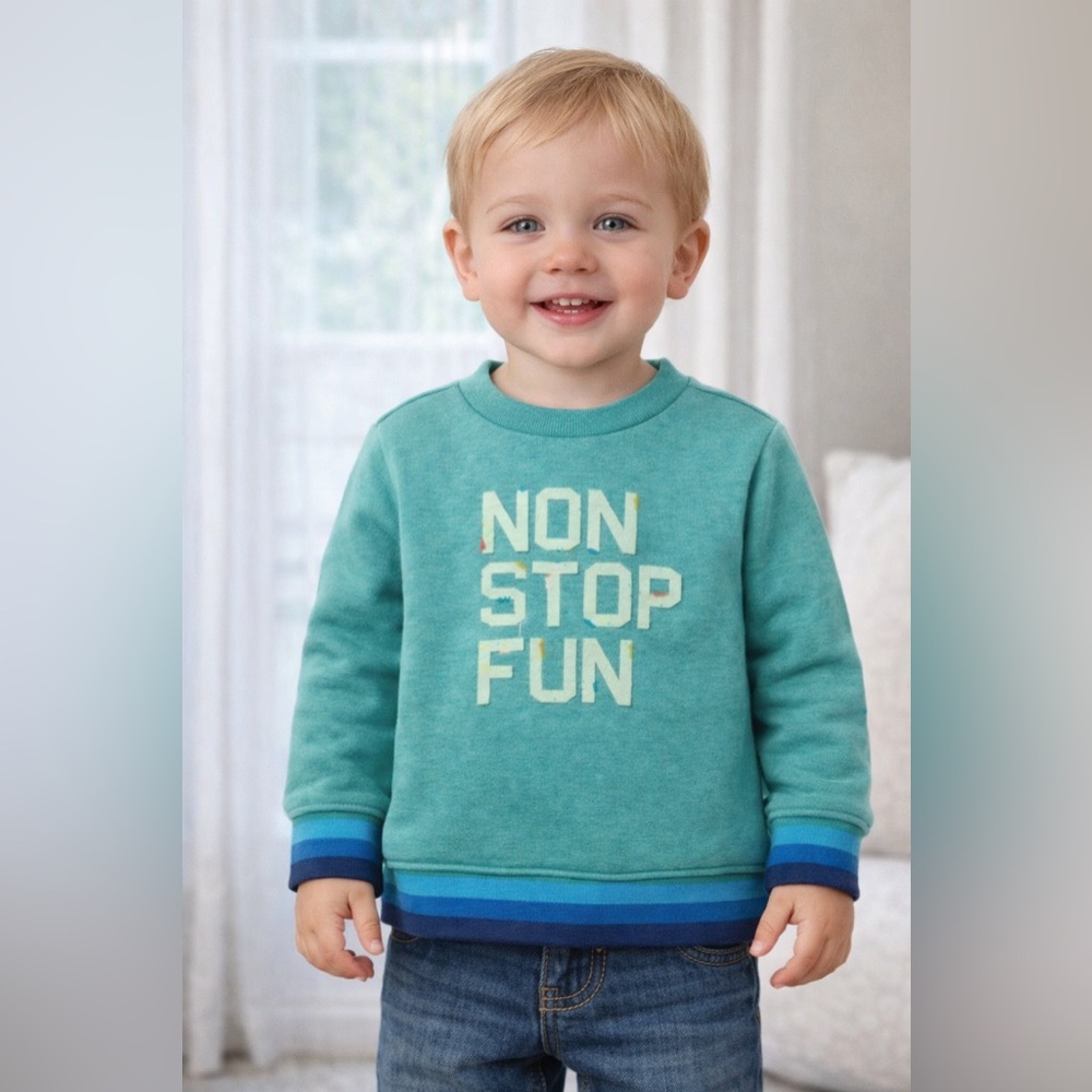 Gymboree Toddler Sweatshirt